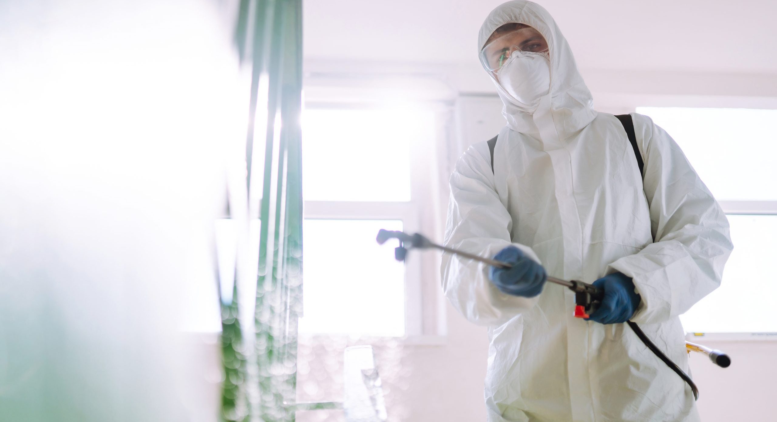 Mosquito Control treatment in Raleigh NC