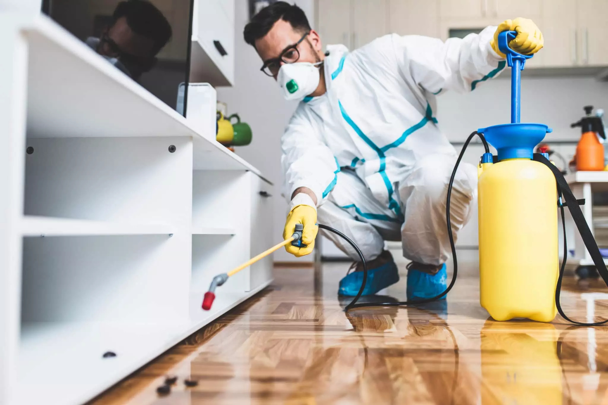 Pest control professional