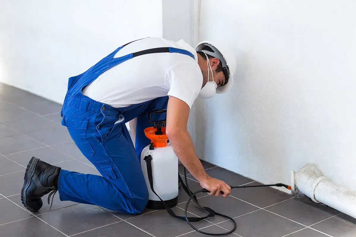 Cockroach Control treatment in Raleigh NC