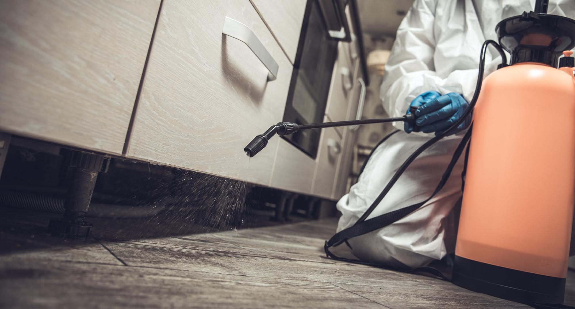Stinging Insect Control treatment in Raleigh NC